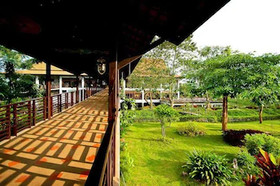 Golden Pine Resort and Spa