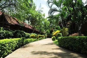 Golden Pine Resort and Spa