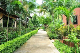 Golden Pine Resort and Spa