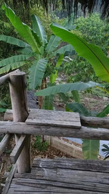 Hill Tribe Art House Lahu & Akha Homestay