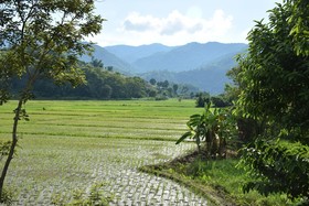 Kaeo Fa Sai Resort