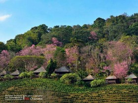 Khumnaiphol Resort