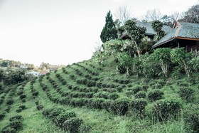 Khumnaiphol Resort