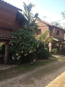 Khum Tai Lue Resort