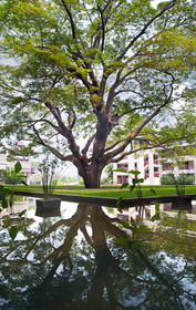 Le Meridien Chiang Rai