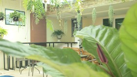 Maesai Holic Lodge