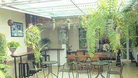 Maesai Holic Lodge