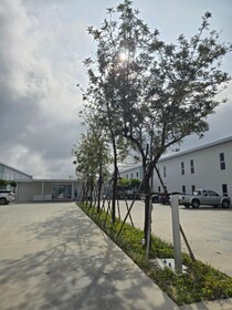 One Budget Hotel Chiangrai Bypass-East