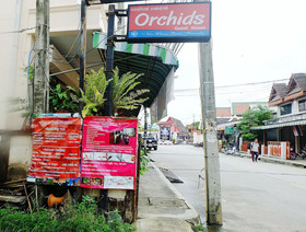 Orchids Guesthouse