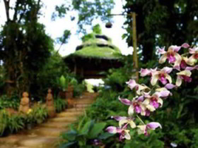 Phu Chaisai Mountain Resort & Spa
