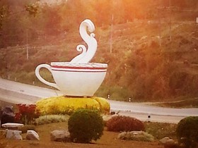 Phufatara Resort