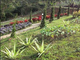 Phu Mok Dok Mai Resort