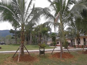 Phutien Resort