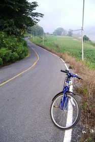 Rai Saeng Arun