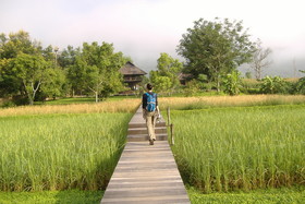 Rai Saeng Arun