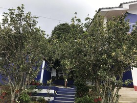 Shin Sane Guesthouse