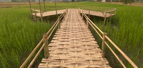 Teva Valley Resort
