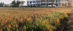 Teva Valley Resort