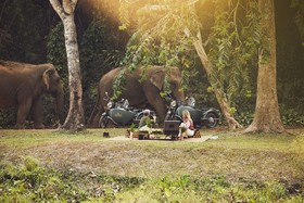 Anantara Golden Triangle Elephant Camp & Resort
