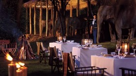 Four Seasons Tented Camp Golden Triangle