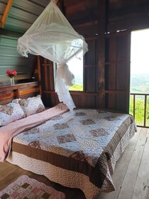 Hug House