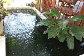 Sabaydee Home