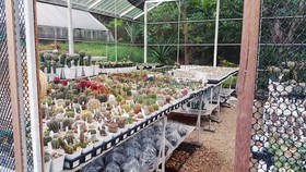 Viengkaew Resort