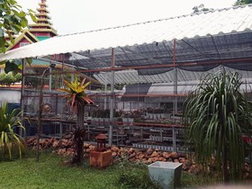 Viengkaew Resort