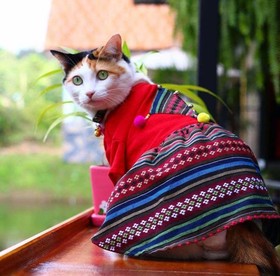 Baan Suan Him Doi