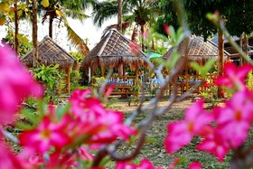 OYO 909 Guiding Star Resort