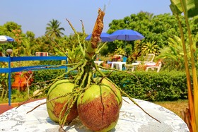 OYO 909 Guiding Star Resort