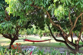 OYO 909 Guiding Star Resort