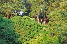 Hill Lodge