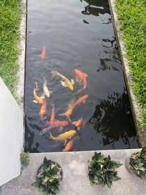 Hong Feng 168 Villa Hotel