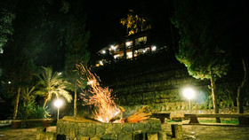 Phu Tarn Tree
