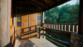 Phu Tarn Tree