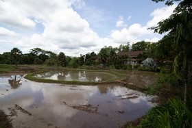 Royal Train Garden Resort