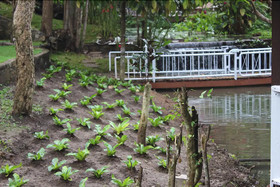 The Stove House Hang Dong Chiang Mai