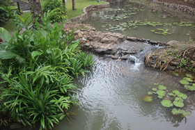 The Stove House Hang Dong Chiang Mai