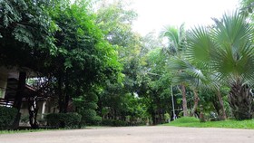 Mai Yai Resort