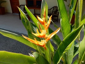 Malee Resort