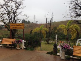 Foresta Hill Resort