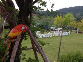 Foresta Hill Resort