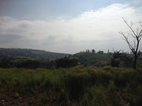 Foresta Hill Resort