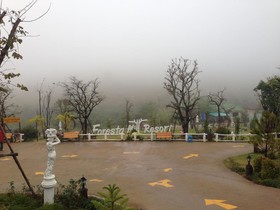 Foresta Hill Resort
