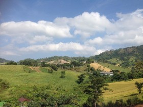 Foresta Hill Resort