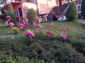 Foresta Hill Resort