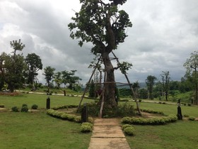 Foresta Hill Resort