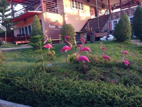 Foresta Hill Resort