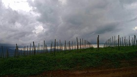 Khao Kho Boutique Camps